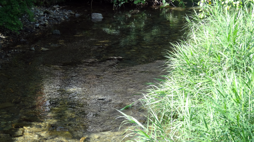 渓流からの涼しい冷気が気持ち良い