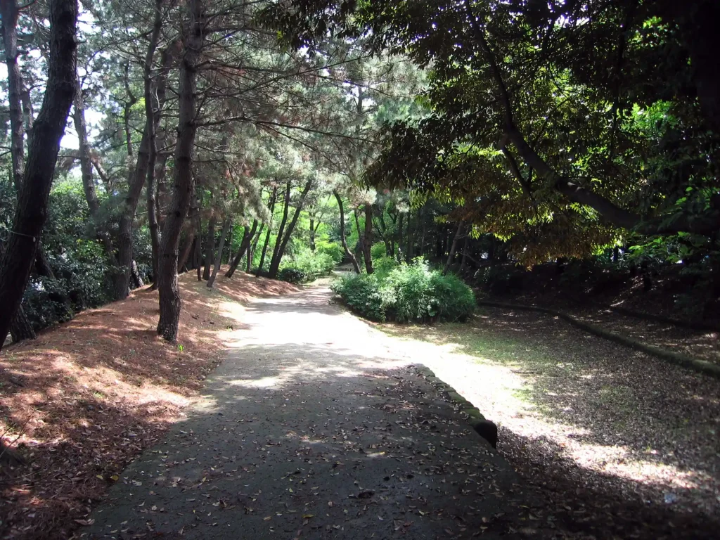 辰巳の森緑道公園内の歩道