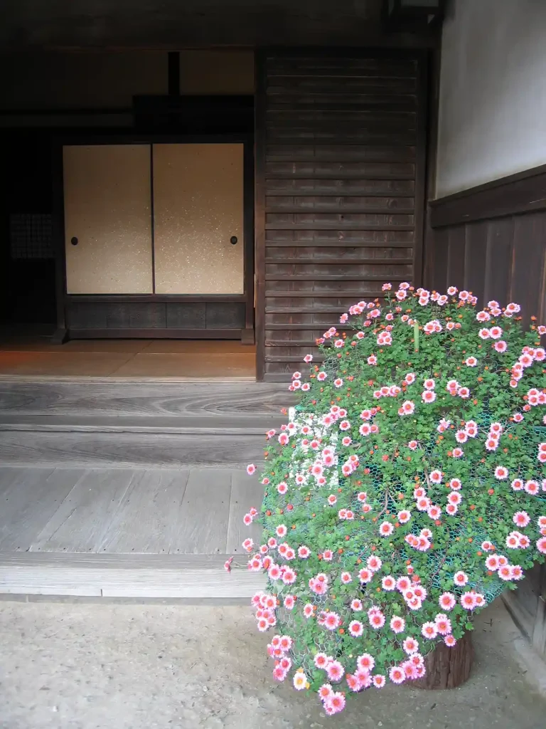 旧安藤家主屋の玄関