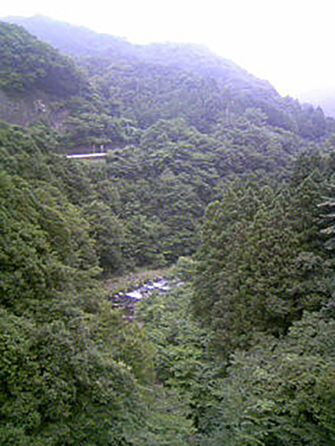 吊り橋から見た道志川