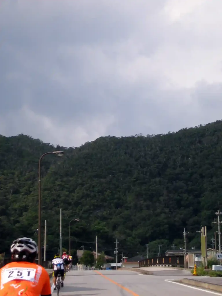 眼の前の緑は、たぶん蜃気楼で実態はない、はず・・・