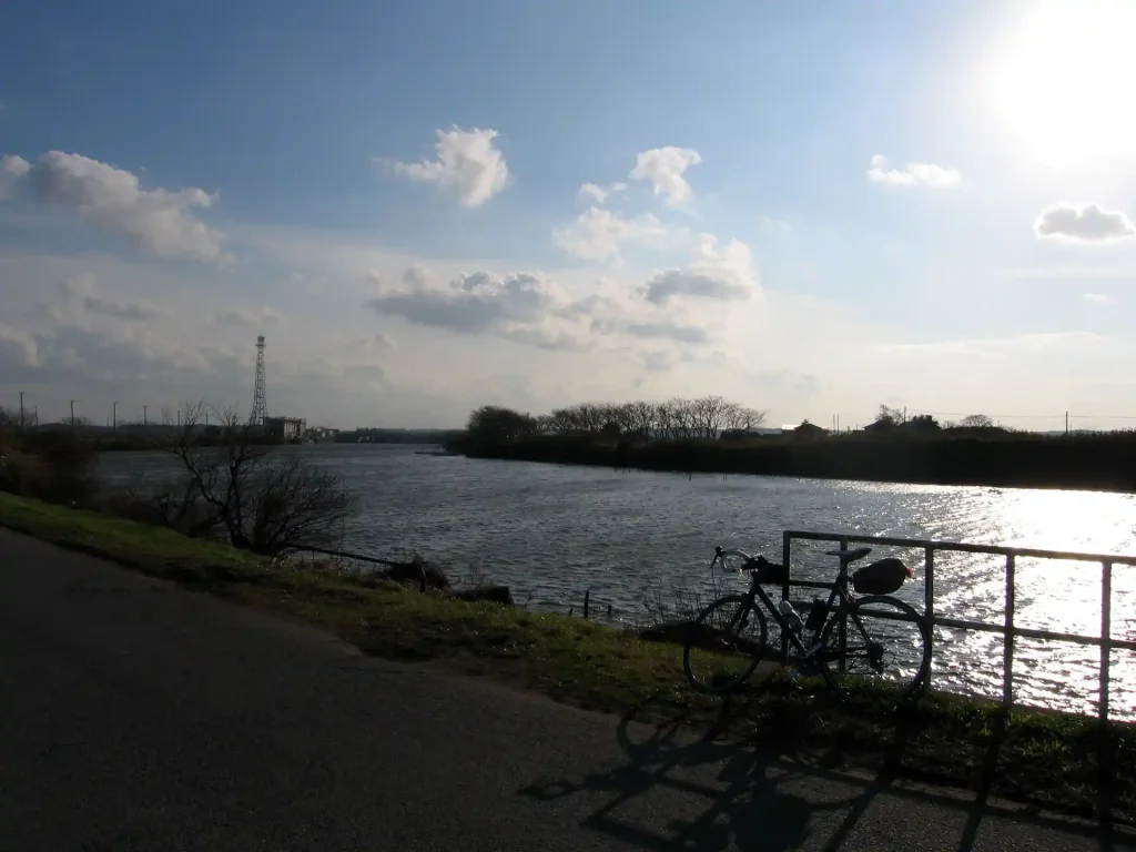 水門近くから北印旛沼方向を望む