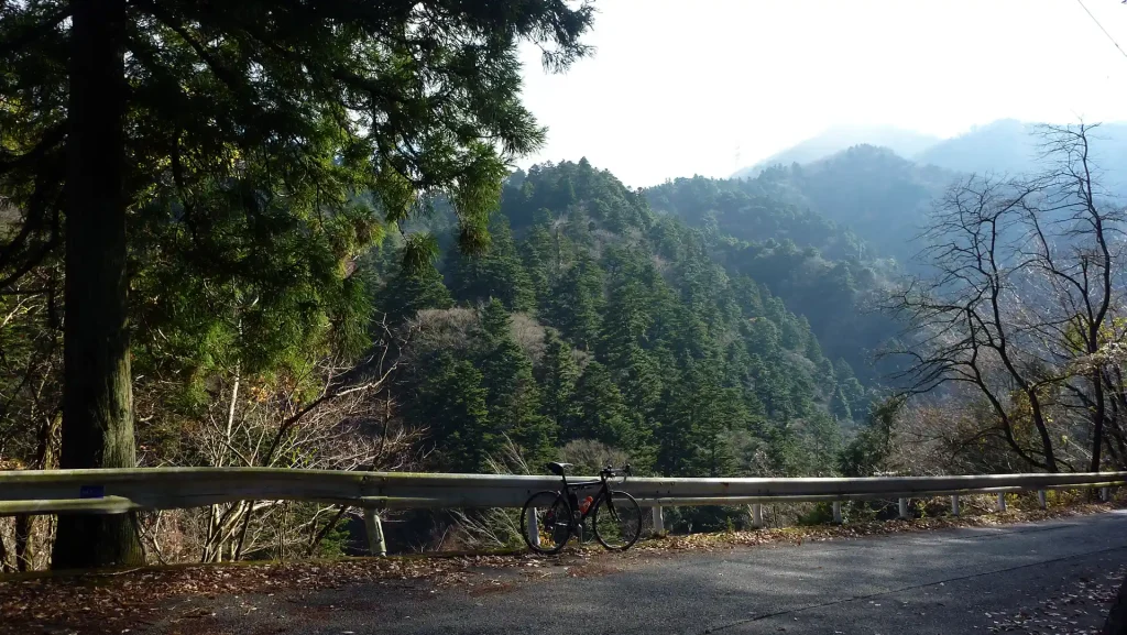 県道70号 秦野清川線