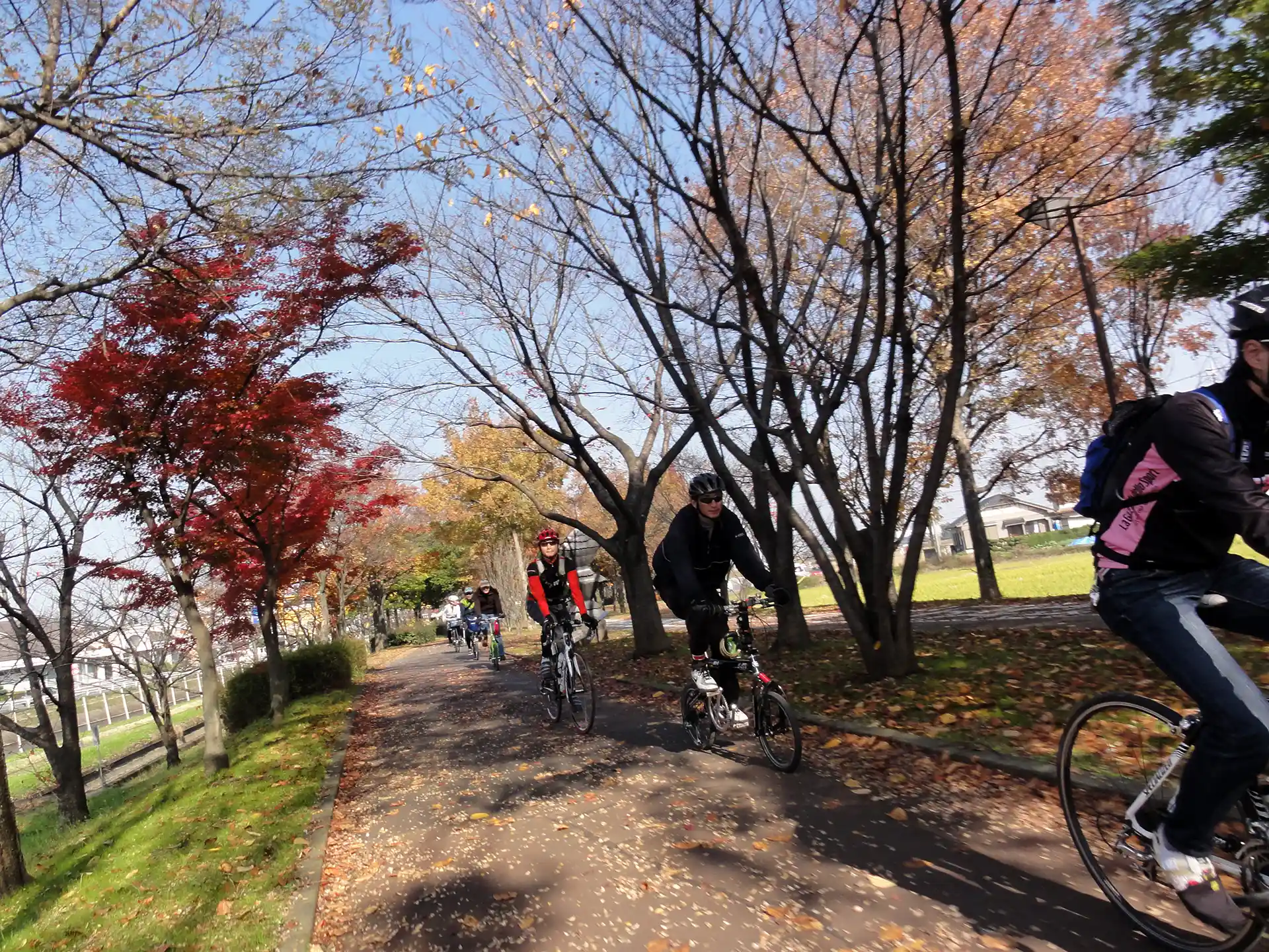 紅葉を堪能した!大江戸じてんしゃ三昧 小江戸・川越編