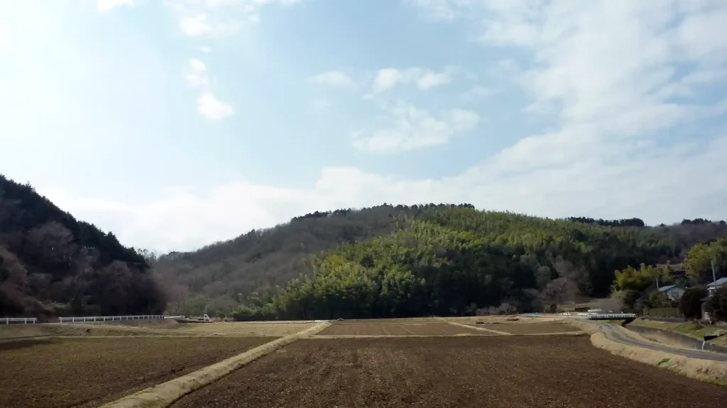 伊豆の里山風景