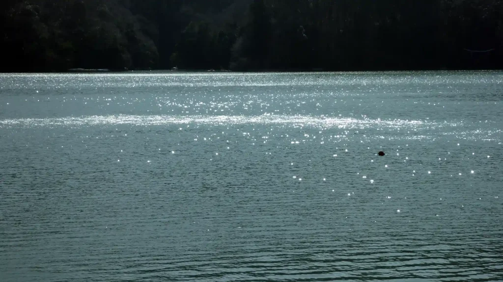 久しぶりの相模湖