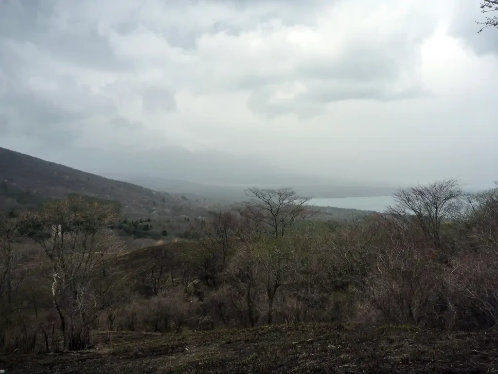 山中湖と富士山