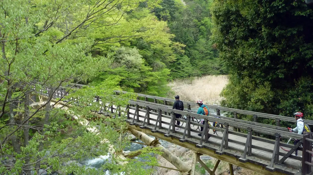 水源の森 キャンプ·ランド
