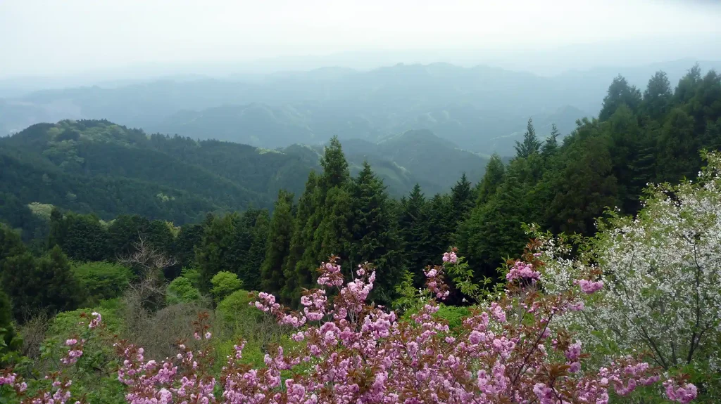 富士山は見えず