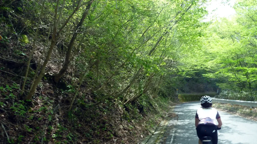 明神黒白林道（矢倉沢林道）
