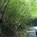 明神黒白林道（矢倉沢林道）