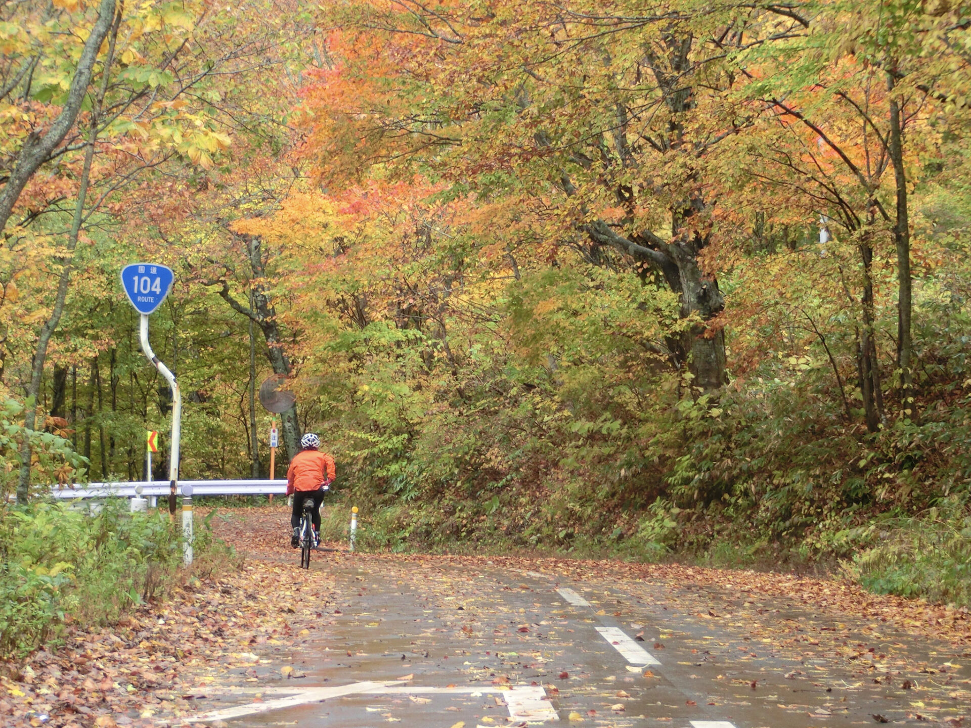紅葉の奥入瀬・八甲田山ツーリング
