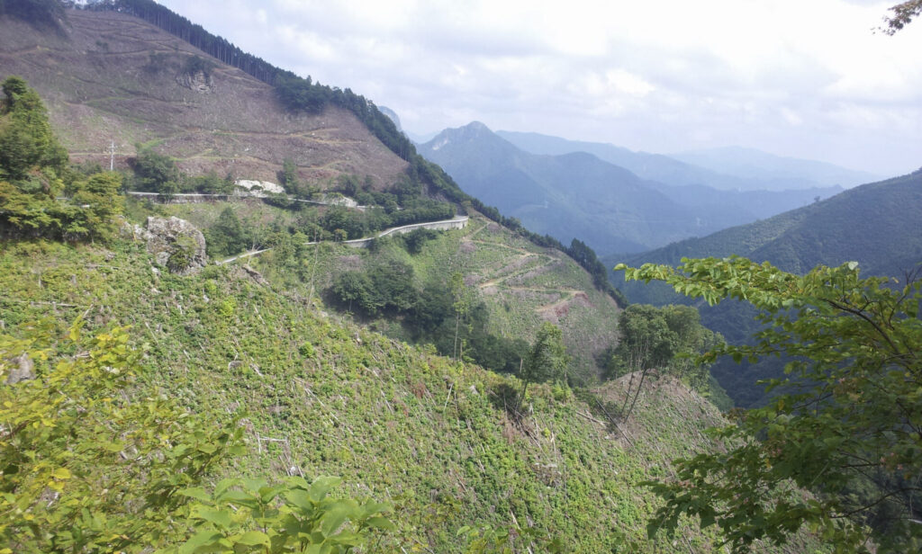 八丁峠の手前のつづら折りの道