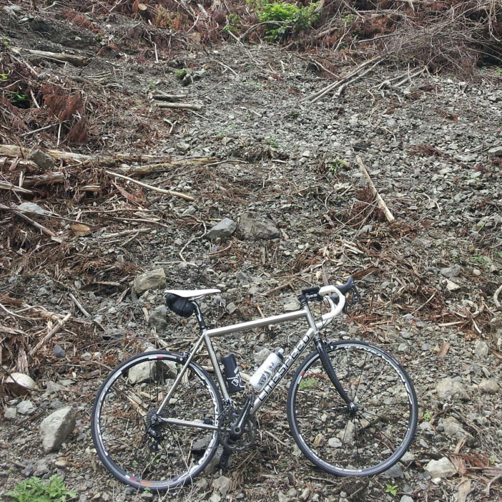 八丁峠ちかくの林道の斜面