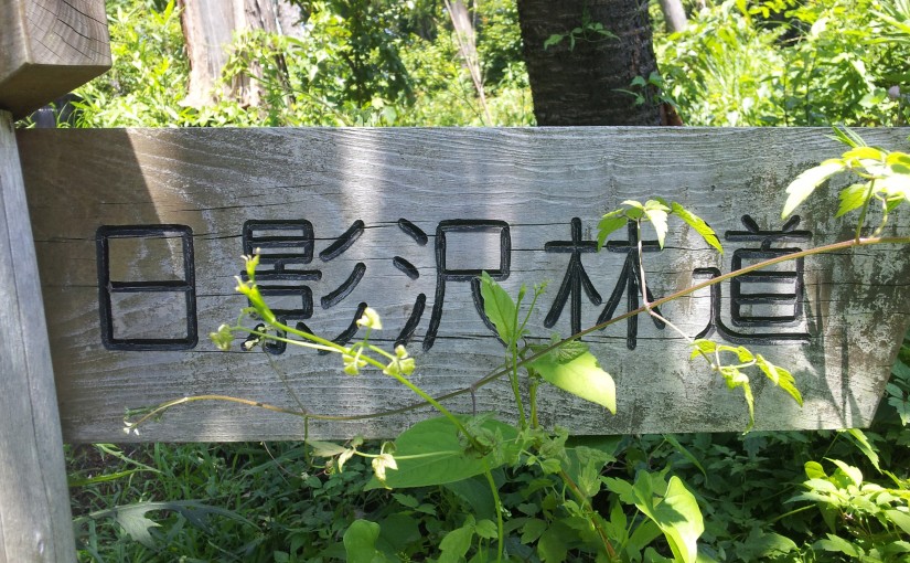 2014年、猛暑日の小仏峠と日影沢林道に行く