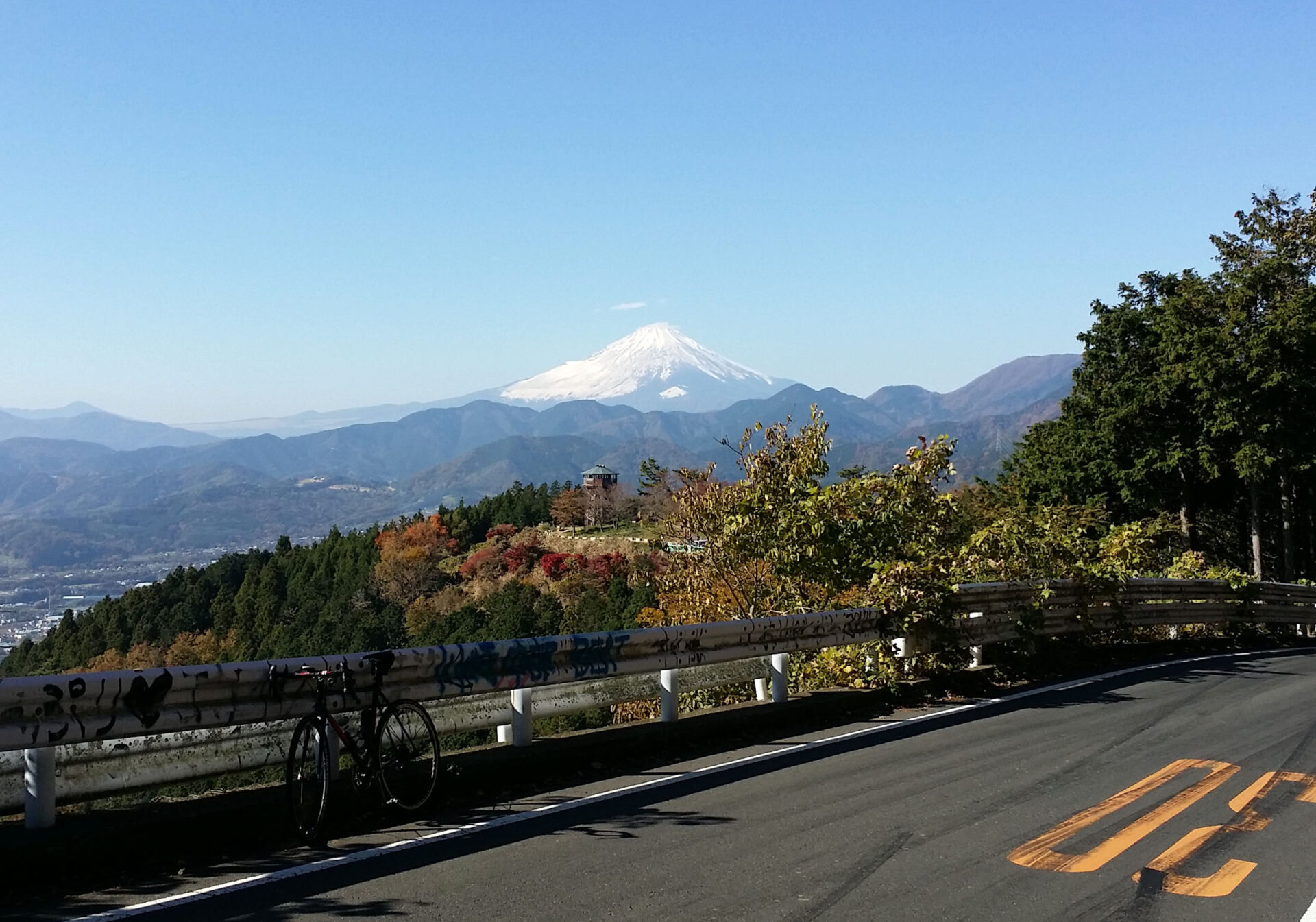 菜の花台と富士山