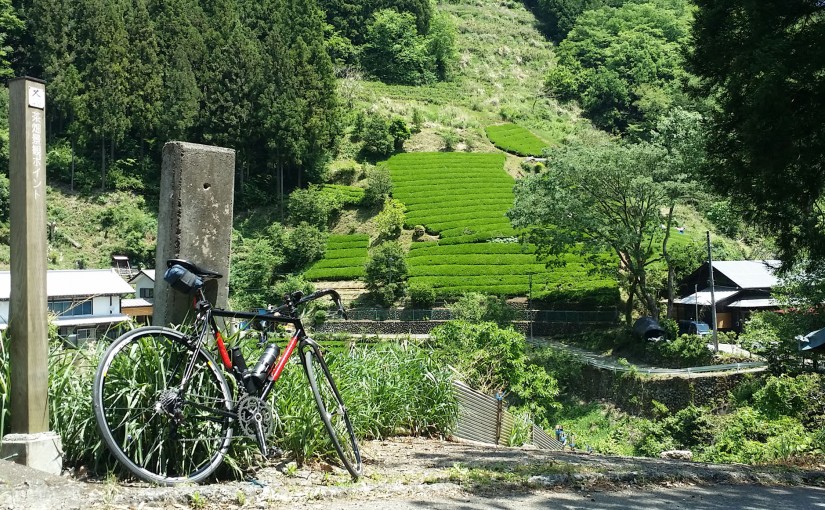 栃谷坂沢林道と藤野町佐野川地区をサイクリング