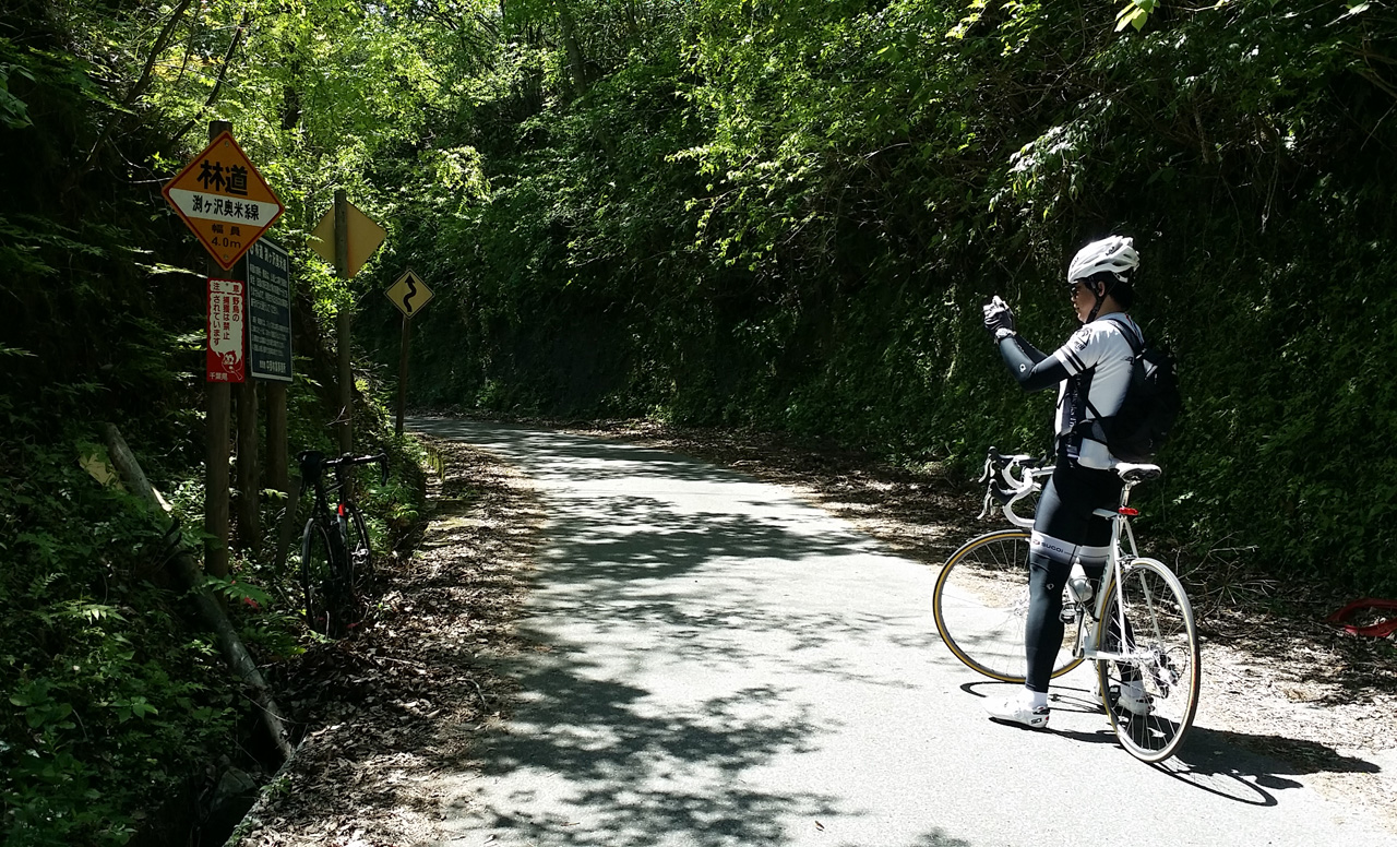 新緑あざやかな房総半島をサイクリング 国道410号線で白浜へ u2013 じてん 