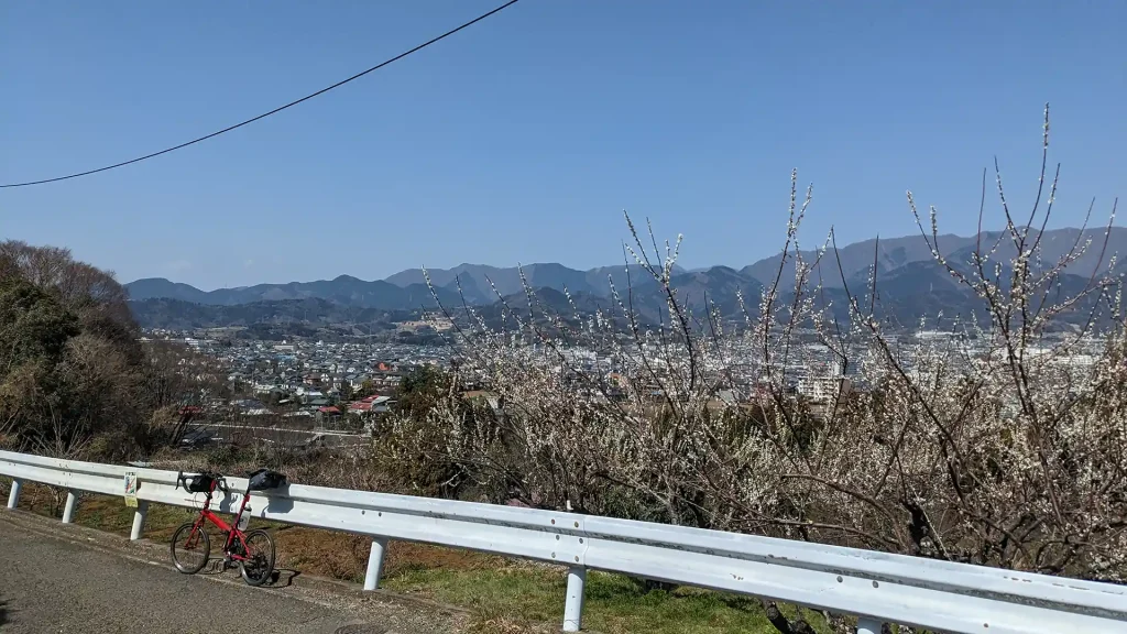 05:秦野市渋沢から見える表丹沢の山並み