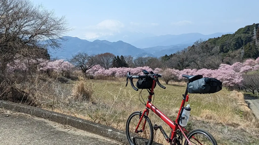 10:大井町篠窪にある富士山絶景ポイント