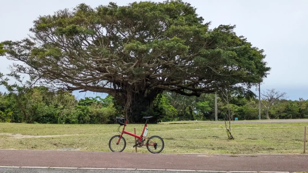 10-8：グスクロード公園（なんじー公園）