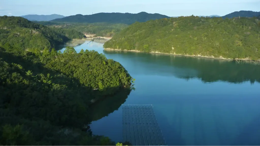 的矢湾大橋