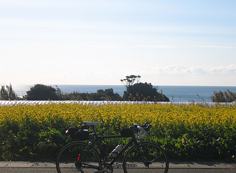 じてんしゃでお伊勢参り385km（3）浜松〜渥美半島～伊勢神宮