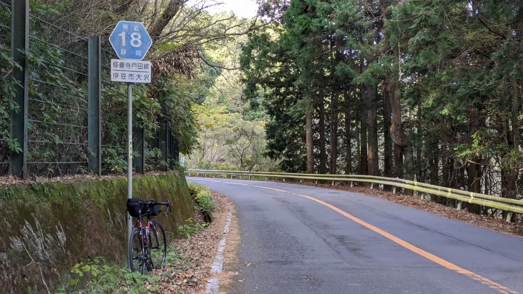 2-06：県道18号線 伊豆市大沢