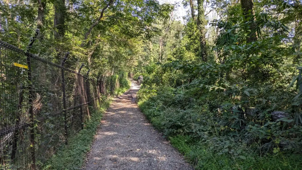 1-10：六道山公園遊びの森北側