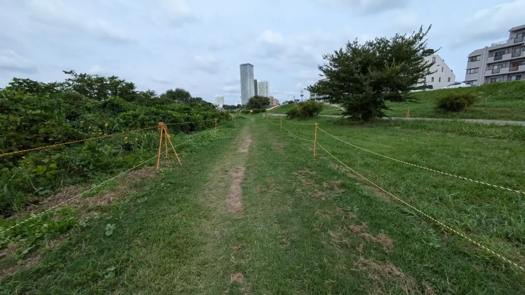 3-07：多摩川緑地（野毛地区）