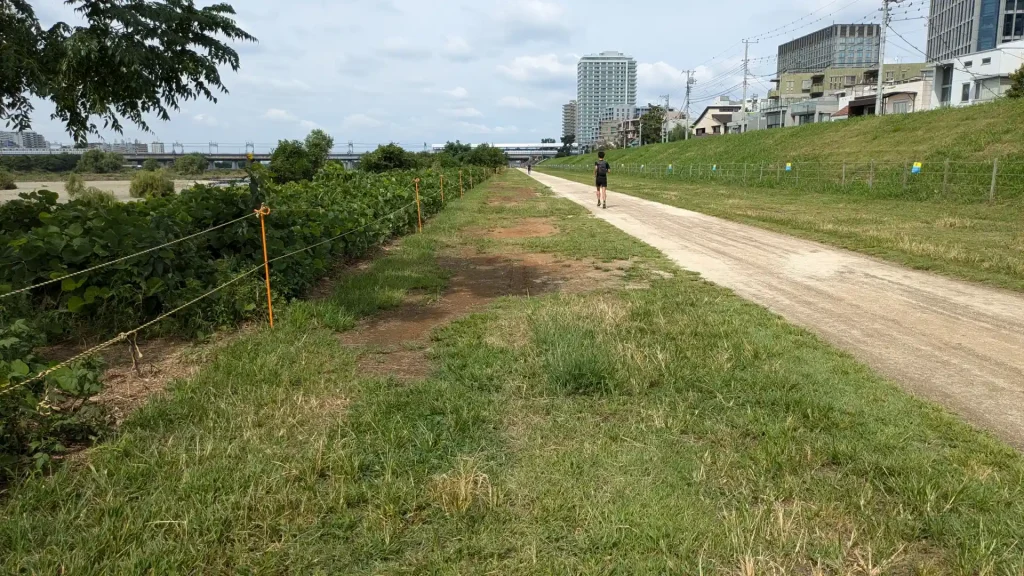 3-07：多摩川緑地（上野毛地区）