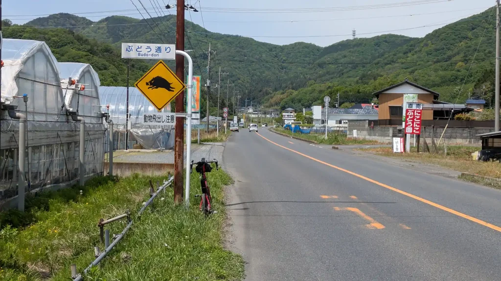 17:ぶどう通り