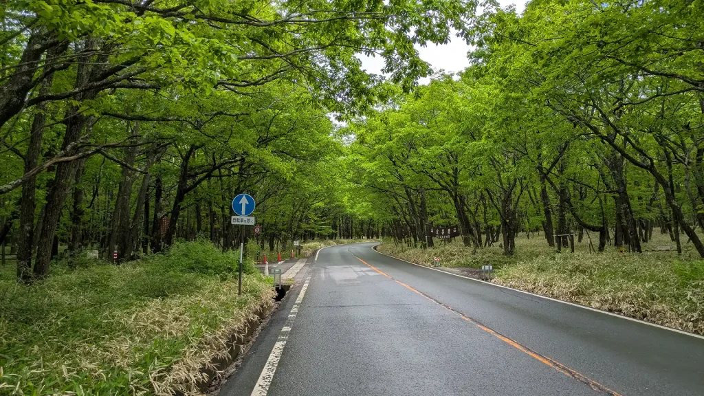 1-04：国道120号線