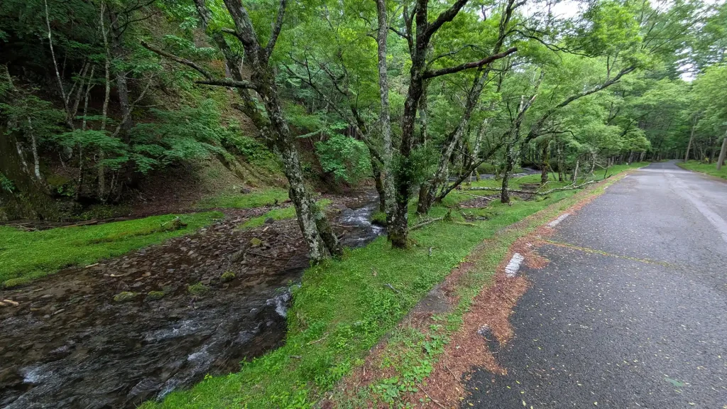 1-11：外山沢川