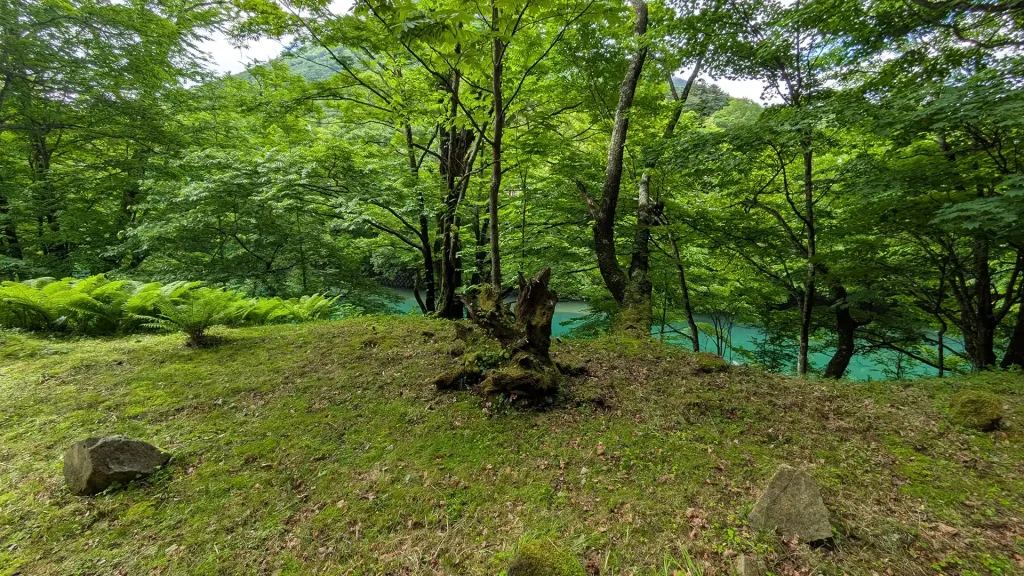 緑色をした湖水が美しい