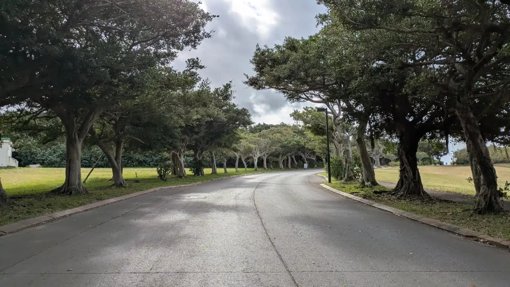 13-08：ホテル日航アリビラ付近