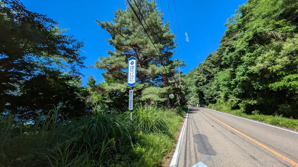 17：湖北ビューライン（富士河口湖町西湖）