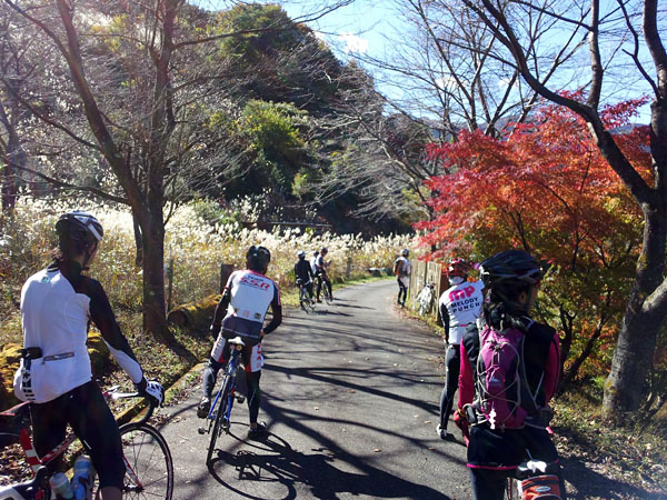 きれいな景色に出会ったら停車!