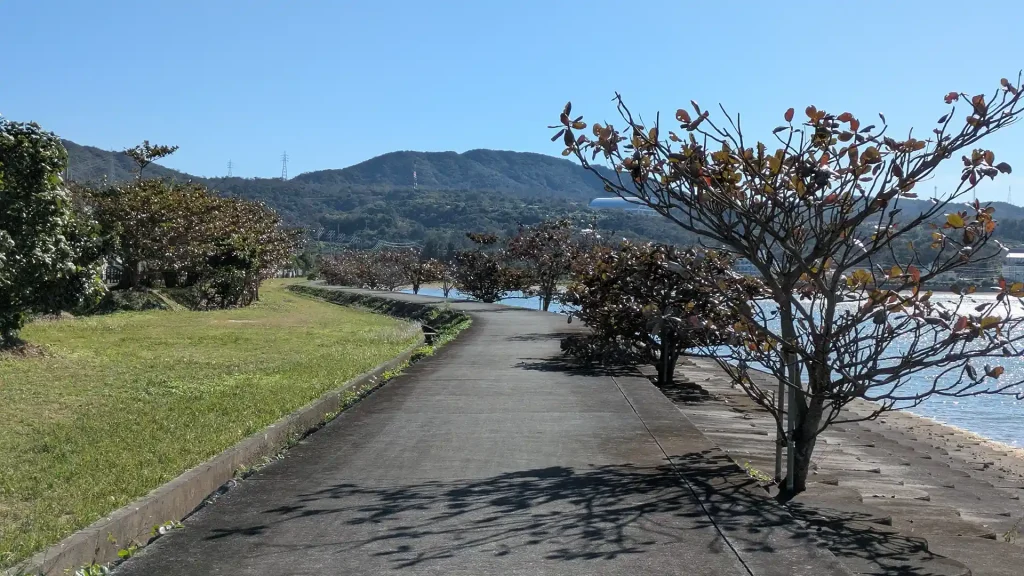 12-18 : 谷茶の遊歩道