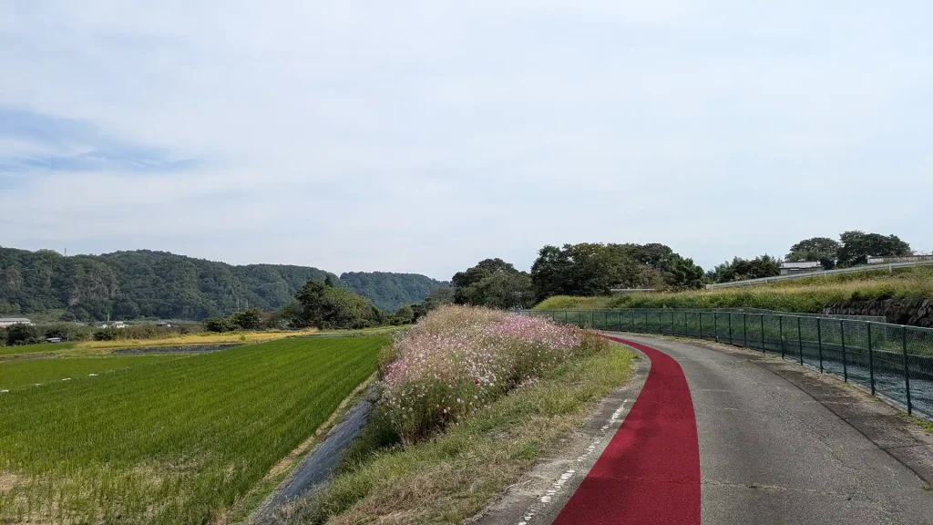 2-14:七里岩と水田と徳島堰