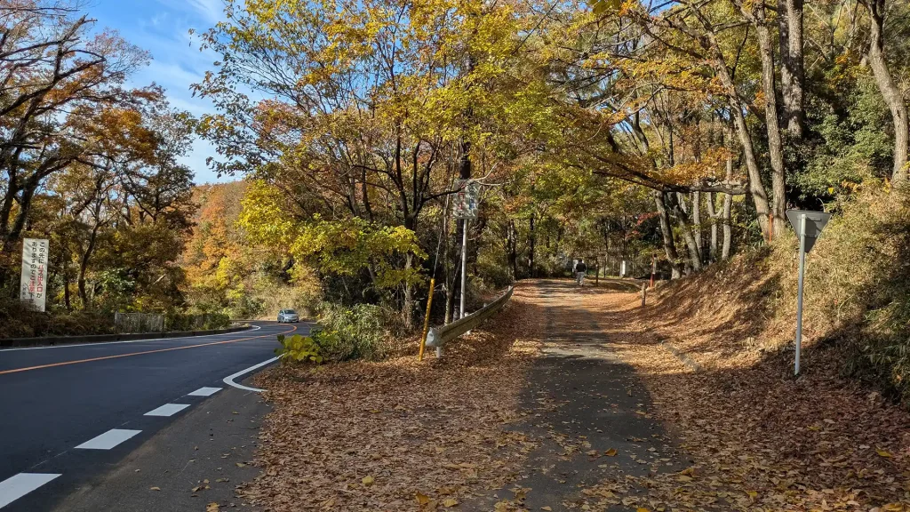 4-03：まなびのみち