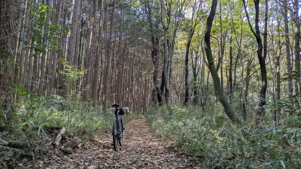 4-11：笛吹峠へ抜けるグラベルロード