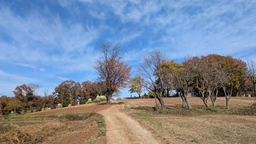 4-18：ブランコの丘から下った道