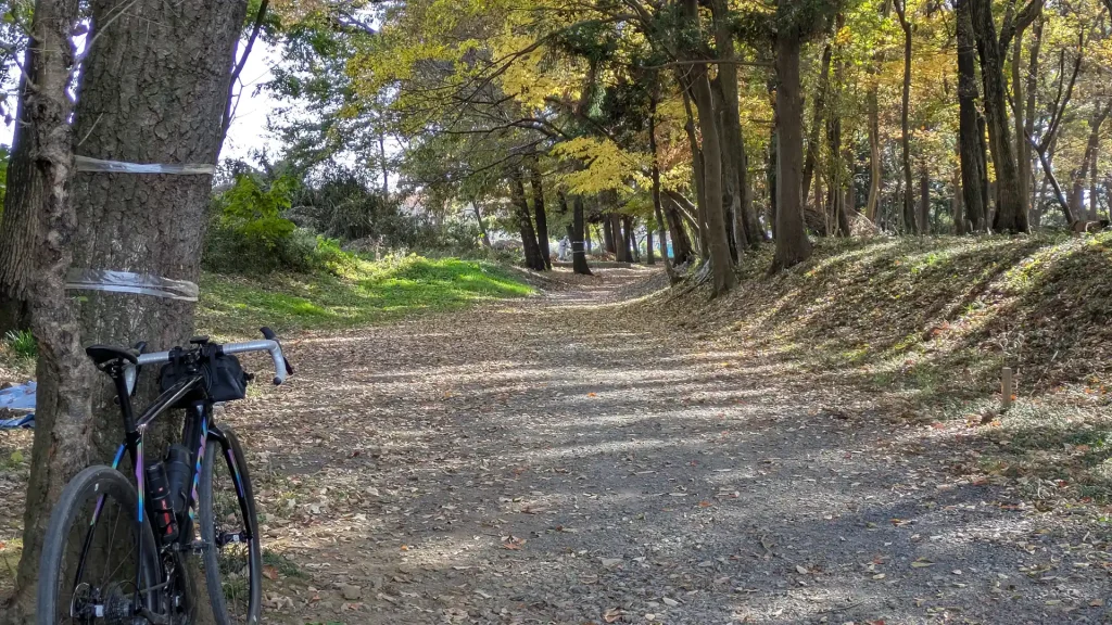 4-20：毛呂山町鎌倉街道上道