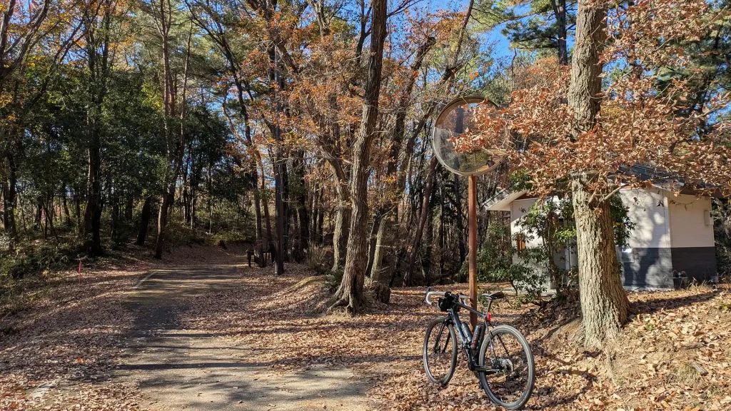 4-33：市民の森 東屋