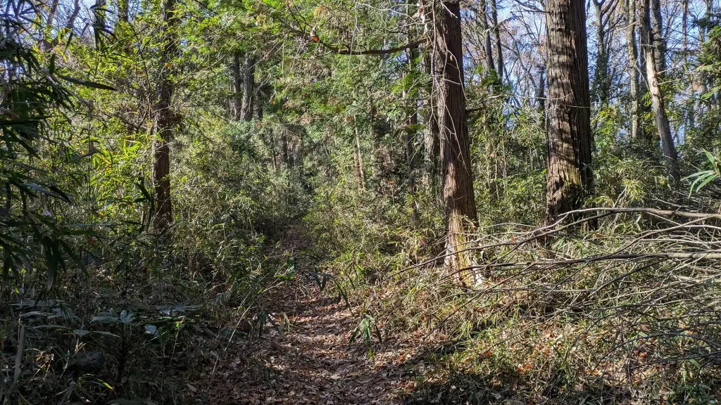 4-35：鳩山町のグラベルロード