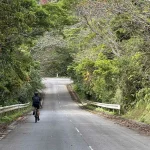3-04:大国林道終点