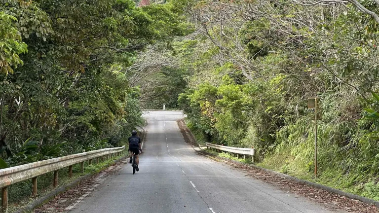 3-04：大国林道終点