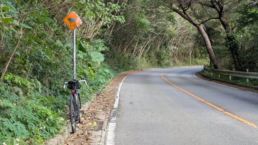 1-05:ヤンバルクイナに注意