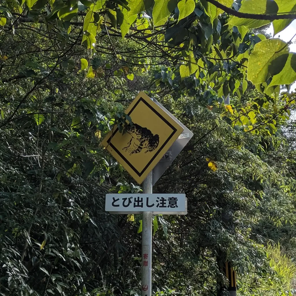 1-07:カエルに注意